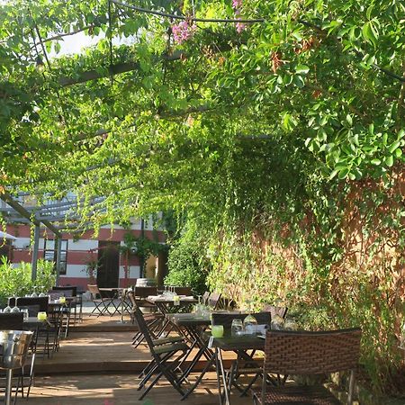 Foresteria Ristorante Conti Roero Monticello d'Alba Dış mekan fotoğraf