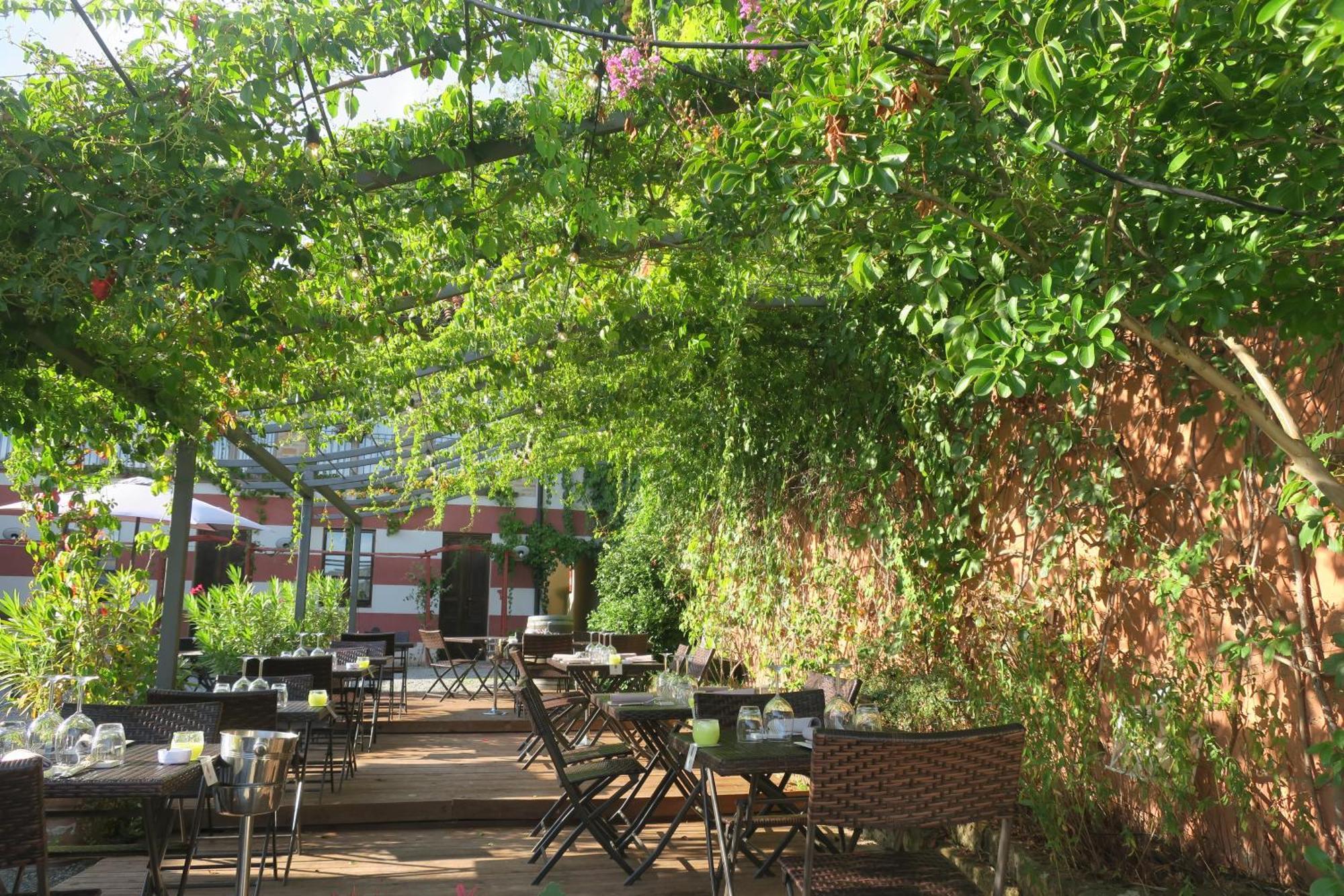 Foresteria Ristorante Conti Roero Monticello d'Alba Dış mekan fotoğraf